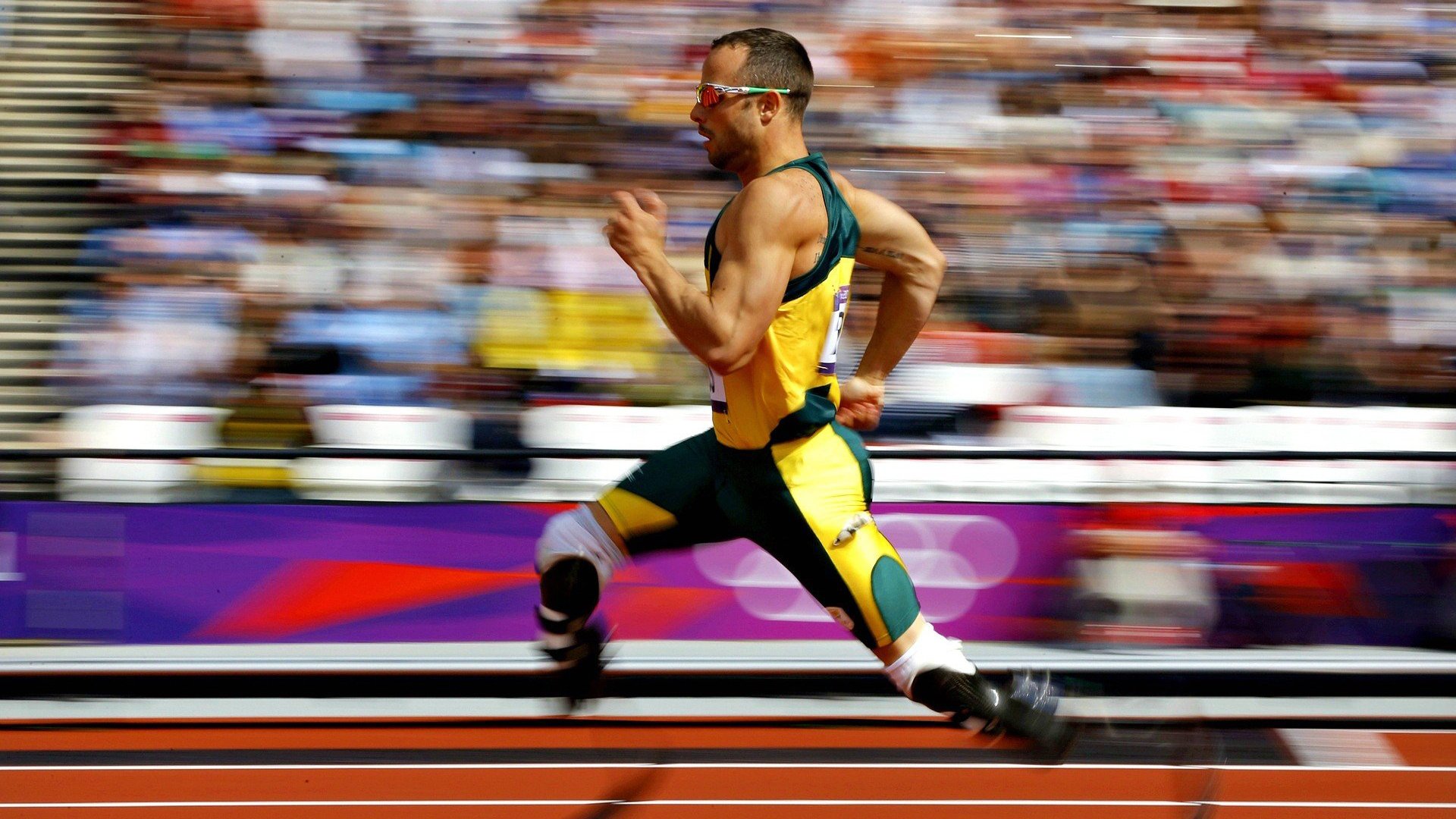 体育赛事主办方推出票价优惠政策扩大观众群，体育比赛票务网站